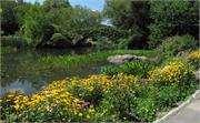 central park flower pano